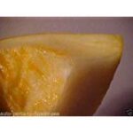 Orange Honig: El toque vibrante en moda y complementos - Análisis y comparativa de las mejores opciones