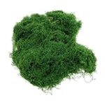 Análisis y comparativa: La moda sostenible con fibra sintética verde